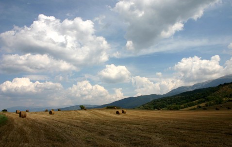 合肥捐卵助孕机构在哪儿，附公立医院捐卵现状 ！