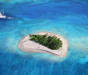 卵泡能补吗（卵泡食补）