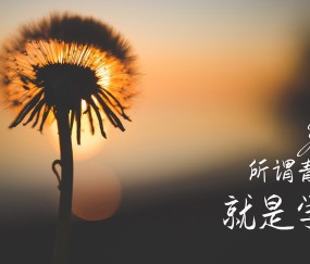 右卵泡5个（卵泡五个属于正常吗）