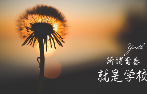 右卵泡5个（卵泡五个属于正常吗）