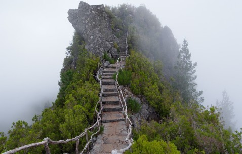 大家怀孕初期有积液吗（怀孕早期有积液会不会流出来）