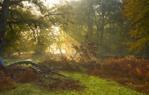 合肥捐卵医院联系方式，这4家技术好的机构全在这里！