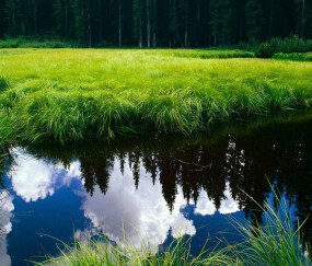 合肥捐卵医院联系方式，附18家生殖中心名单！