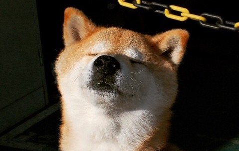 怀孕初期乳头疼还发硬（怀孕初期乳头疼还发硬怎么回事）