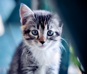 东莞哪个医院做试管成功率高