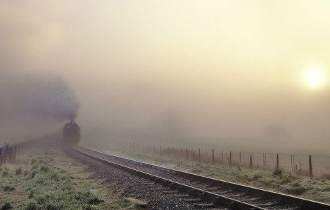 怀孕初期能吃洋葱鸡蛋炒饭吗（怀孕可以吃洋葱炒鸡蛋）