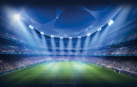 我是卵泡（卵泡en）